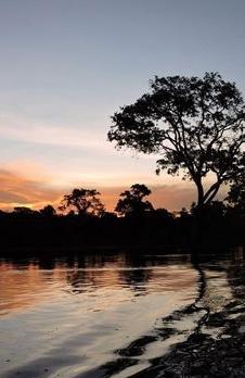 <!DOCTYPE html>
<html>
<head>
</head>
<body>
<p><span data-path-to-node="0,1"><span class="citation-241">Las Pampas del Yacuma ofrecen un escenario m&aacute;gico para recibir el A&ntilde;o Nuevo en el coraz&oacute;n de la Amazon&iacute;a boliviana</span></span><span data-path-to-node="0,3">. </span><span data-path-to-node="0,5"><span class="citation-240">Este destino permite celebrar entre delfines rosados, caimanes y aves ex&oacute;ticas, brindando una conexi&oacute;n profunda con la naturaleza a trav&eacute;s de navegaciones al amanecer y atardeceres espectaculares</span></span><span data-path-to-node="0,7">. </span><span data-path-to-node="0,9"><span class="citation-239">La experiencia culmina con una cena especial y un brindis de fin de a&ntilde;o bajo el cielo amaz&oacute;nico, creando un comienzo de ciclo &uacute;nico rodeado de vida silvestre y paisajes inolvidables</span></span></p>
</body>
</html>