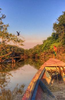 <!DOCTYPE html>
<html>
<head>
</head>
<body>
<p><span data-path-to-node="0,1"><span class="citation-200">Rurrenabaque se revela como la puerta de entrada al Parque Nacional Madidi, reconocido como el &aacute;rea protegida m&aacute;s biodiversa del planeta</span></span><span data-path-to-node="0,3">. </span><span data-path-to-node="0,5"><span class="citation-199">Este destino amaz&oacute;nico sumerge a los visitantes en un entorno salvaje donde es posible observar una asombrosa variedad de fauna, desde jaguares, capibaras y tapires en las orillas de los r&iacute;os Beni y Tuichi, hasta diversas especies de monos, tucanes y guacamayos entre el follaje de la selva tropical</span></span><span data-path-to-node="0,7">. </span><span data-path-to-node="0,9"><span class="citation-198">La experiencia se complementa con una estad&iacute;a en caba&ntilde;as de estilo tradicional Uchupiamonas, situadas junto a lagos serenos donde el avistamiento de caimanes y la sinfon&iacute;a de la vida silvestre nocturna crean una atm&oacute;sfera m&aacute;gica y aut&eacute;ntica</span></span><span data-path-to-node="0,11">. </span><span data-path-to-node="0,13"><span class="citation-197">Es el lugar ideal para quienes buscan una aventura de inmersi&oacute;n total en la naturaleza, combinando traves&iacute;as en bote motorizado, caminatas interpretativas por senderos milenarios y la tranquilidad de un ecosistema vibrante y pr&iacute;stino</span></span></p>
</body>
</html>